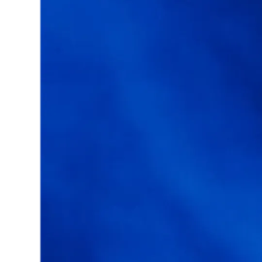 Alessandro Bassi Tenor