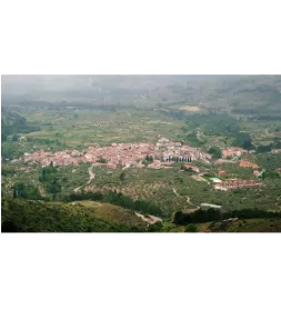 Alessandro Bassi Tenor