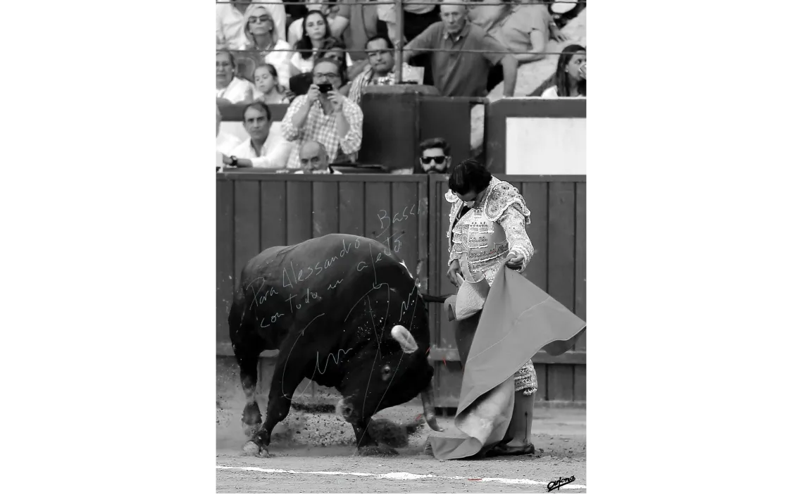 Alessandro Bassi Tenor