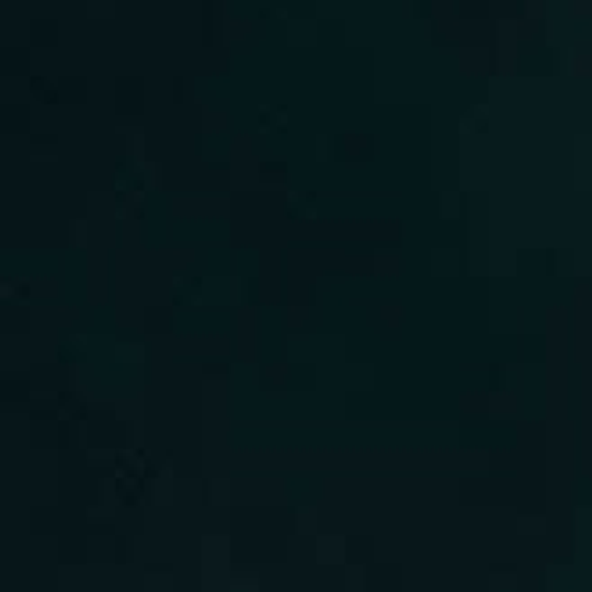 Alessandro Bassi Tenor