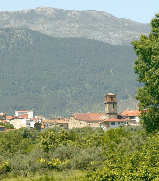 Alessandro Bassi Tenor