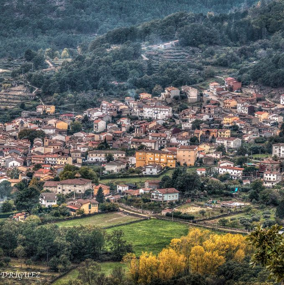 Alessandro Bassi Tenor