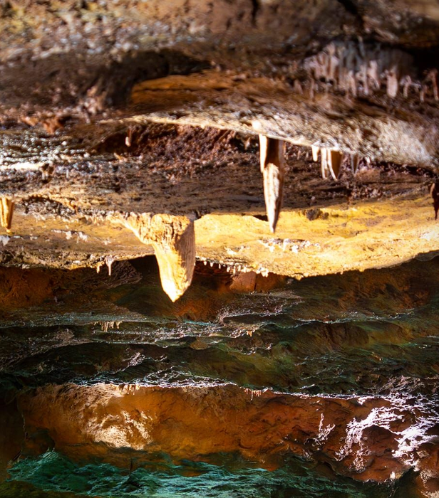 Alessandro Bassi Tenor