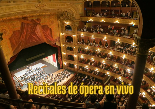 Alessandro Bassi Tenor