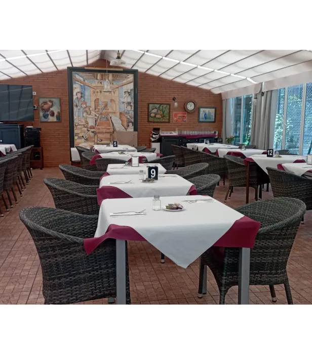 Alessandro Bassi Tenor