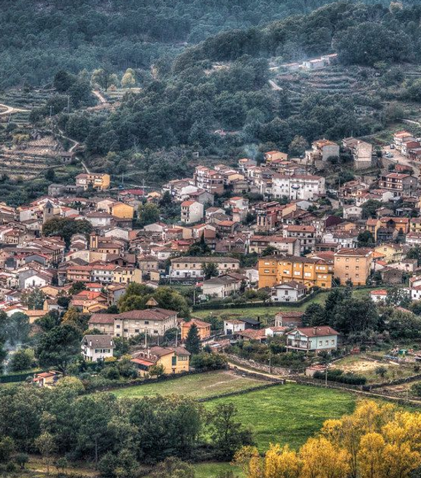 Alessandro Bassi Tenor