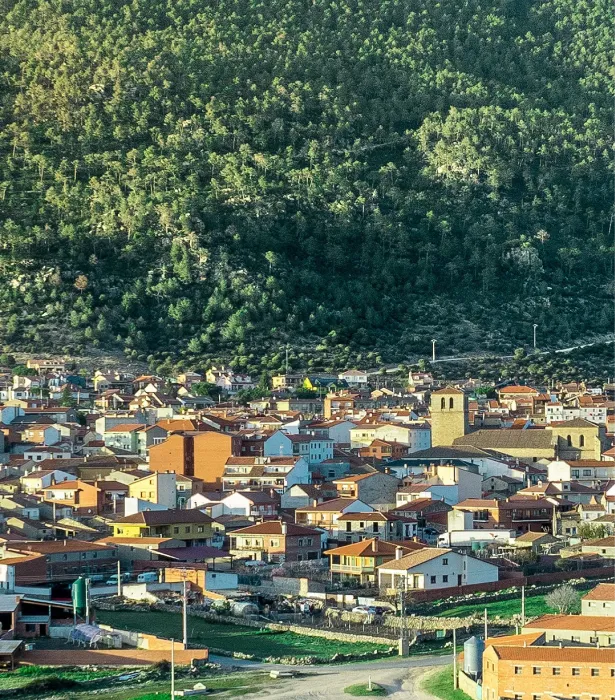 Alessandro Bassi Tenor