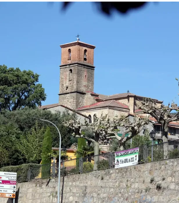 Alessandro Bassi Tenor